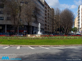 1500 Bolbos de tulipas inseridos nos jardins municipais
