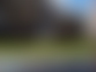 1500 Bolbos de tulipas inseridos nos jardins municipais