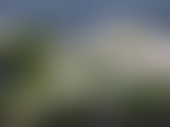 Habitação e área empresarial prevista para transformação urbana em S. Gens 