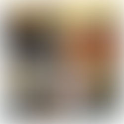 Event: Solidarity Books