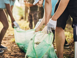 Candidaturas abertas para o Voluntariado Jovem para a Natureza e Florestas