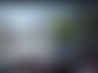 Árvore reconhecida e valorizada em evento "Árvore no espaço urbano"