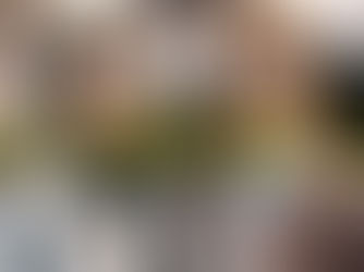 Portugal Fashion vai desfilar pelas ruas do Porto