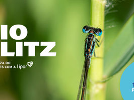 Fundação Serralves promove a 9ª edição do BioBlitz 2023