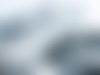 Laboratório em Matosinhos quer transformar desperdício do pescado em "produtos úteis"