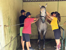 Terapia com cavalos para alunos com necessidades especiais