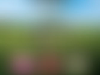 Está a chegar a FESTAGRO – Feira Agrícola de Matosinhos