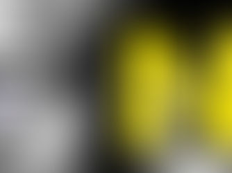 Exponor recebe Modtissimo 