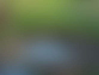 Projeto “Massas de Água das Áreas Verdes do Concelho de Matosinhos”.