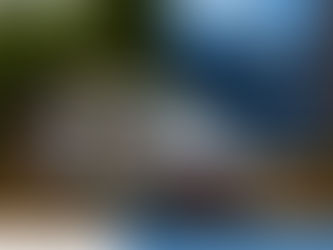 Lançamento da YesCars Usados 5* em Matosinhos