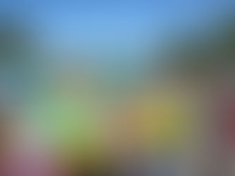 Dia Internacional da Juventude: Milhares de jovens no Water Slide Summer 2023