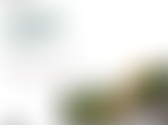 Ciclo de palestras sobre a árvore