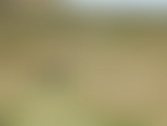 Artistas nacionais e internacionais vão instalar arte pelos Caminhos de Santiago