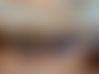 BioBlitz 2023: Venha descobrir a natureza no Parque de Serralves