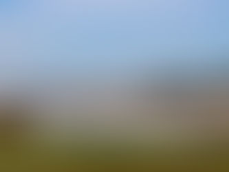 PSD de Matosinhos acusa freguesia de usar produto nocivo nas ruas