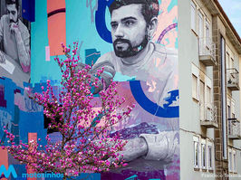 Magnólias enchem a cidade de cor