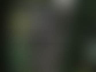 Bioblitz dá a conhecer biodiversidade do Rio Leça