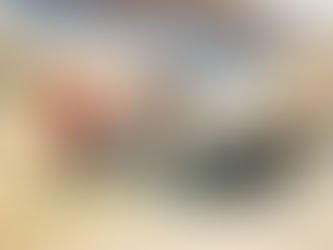 Matosinhos will have free cultural and leisure programming