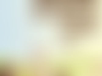 Santo António do Telheiro