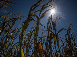 Portugal vai enfrentar nova vaga de calor