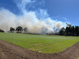 Fire consumed an area of brushwood next to the river Leça