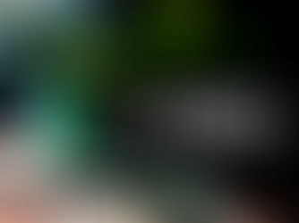 STCP adjudica fornecimento de autocarros 100% elétricospor 8 milhões de euros