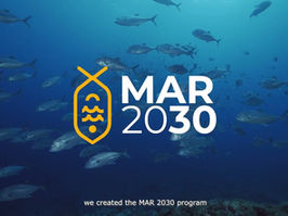 Mar 2030 vai beneficiar projetos de Matosinhos, Vila do Conde e Póvoa de Varzim com 280 mil euros