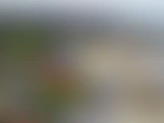 O que não pode perder este fim de semana em Matosinhos