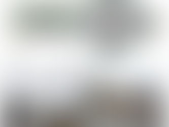 New traffic circle in Guifões