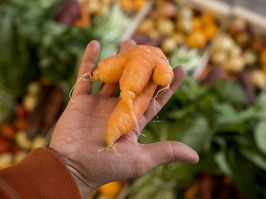 Fruta Feia chega a Leça do Balio