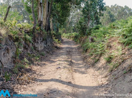 Primeiro caminho rural avança