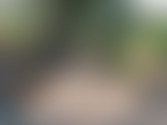 Primeiro caminho rural avança