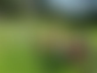 Férias da Páscoa recheadas de atividades em Serralves