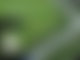 Iniciativa: Plogging Challenge “Reviver o Leça”