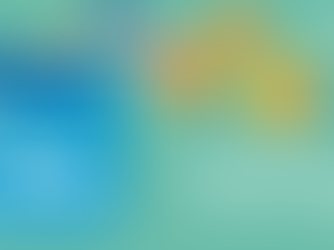 A Minha Merenda - My Grocery