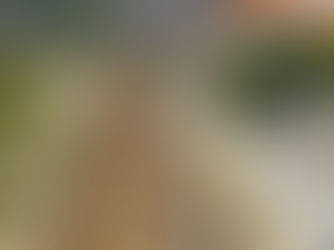 Passageiros voltam a circular na Linha de Leixões até final do ano