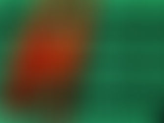 Server replaced in order to solve computer problems in the Northern Health Centers