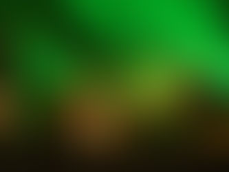 Verão Cultural 2024 com concertos em Leça do Balio