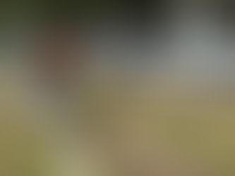 Encontro Inter-Regional Escolas BTT-Zona A, realizou-se no Parque de Picoutos