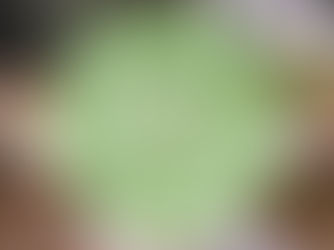 Eventos dedicados ao Dia Mundial da Árvore