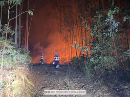 Bombeiros de Matosinhos-Leça responderam a 600 ocorrências em setembro