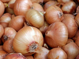 Price Monitoring: more than 50% profit margins detected on onions