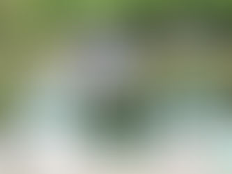 CSN-A Matosinhos: João Castro Lima wins Grand Prix