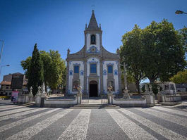 78-year-old woman hit by bus is in serious condition