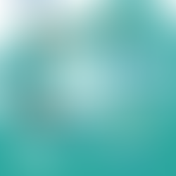 Dia do Porto de Leixões está de regresso