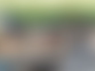 Escavações de arqueológica no Castro de Guifões