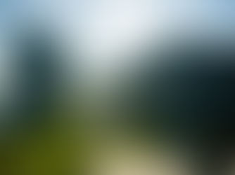 LIPOR inaugurou nova unidade de triagem de resíduos verdes