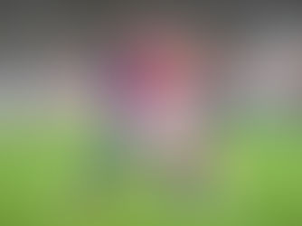 Autogolo de Naldo dá derrota ao Leixões