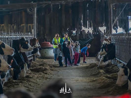 400 alunos visitaram a Fest'Agro