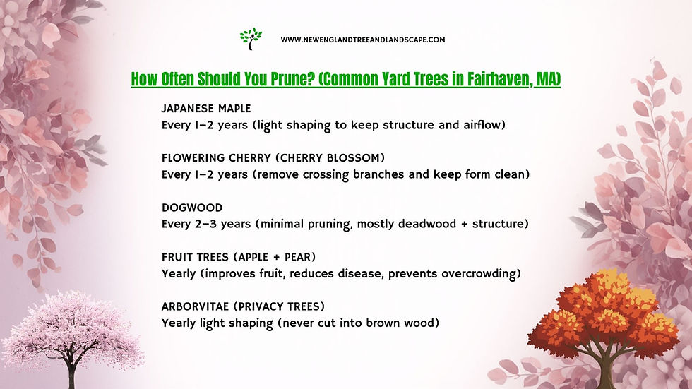 When to prune trees in Fairhaven, MA (season guide)